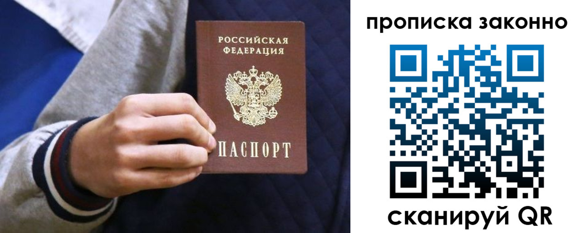 прописка гарантия в Балтийске